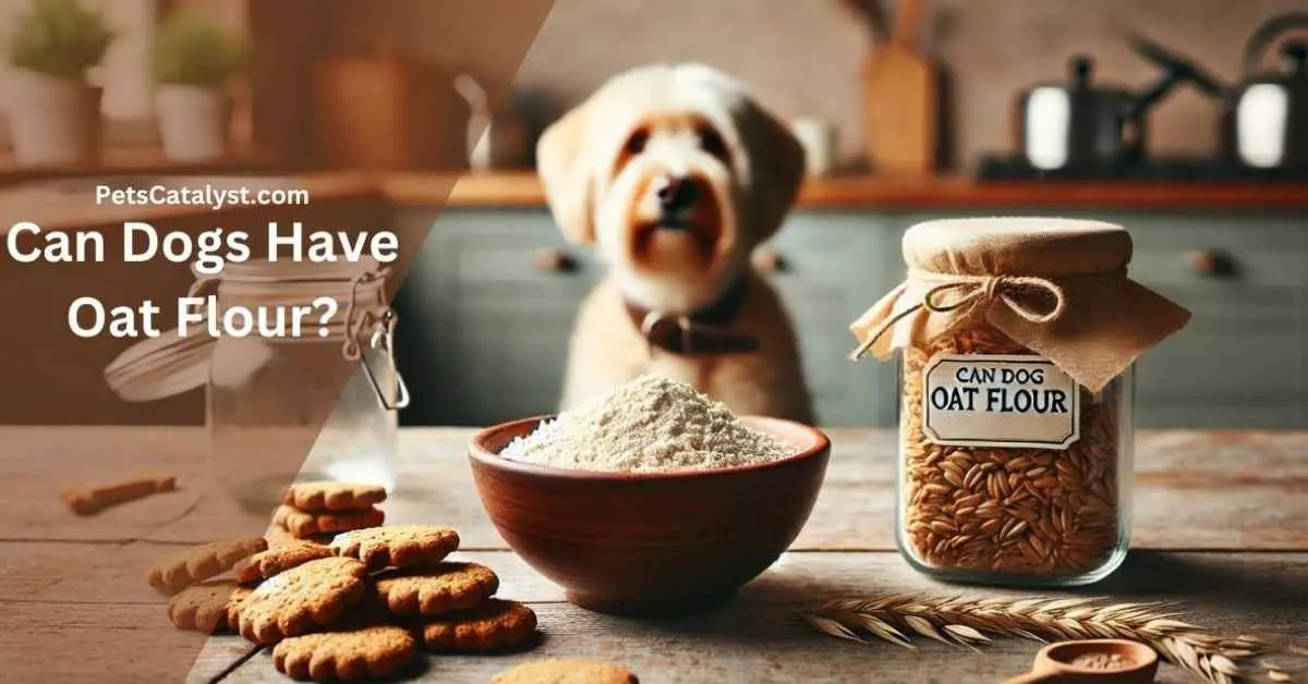 Can Dogs Have Oat Flour