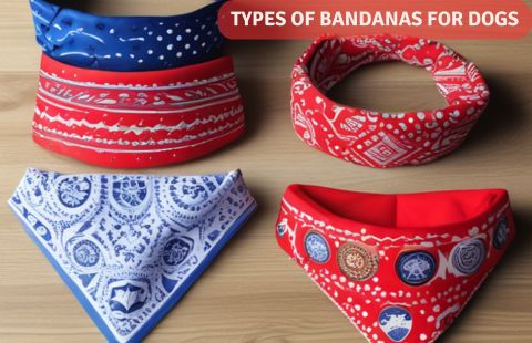 How to Tie Bandana for Dog