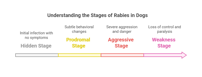 How to Know When a Dog Has Rabies