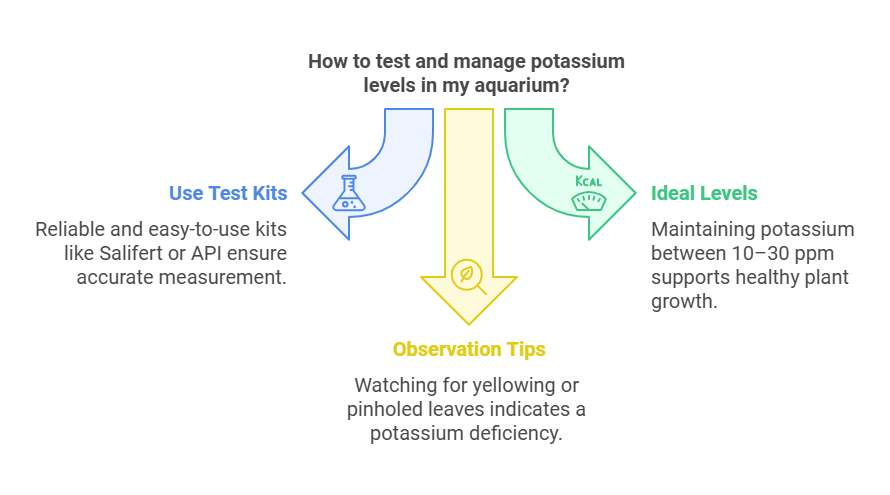 How to Add Potassium to Aquarium