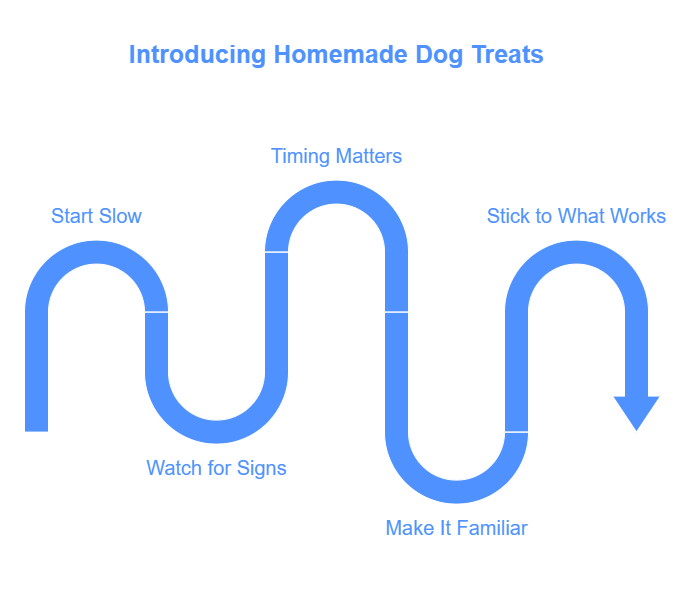 Homemade Dog Treats for Sensitive Stomachs