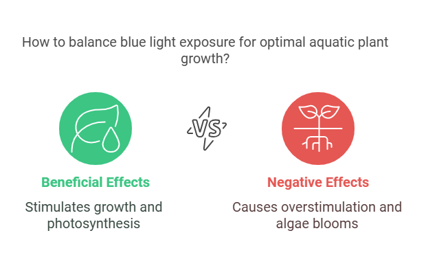 Is Blue Light Good for Aquarium Plants